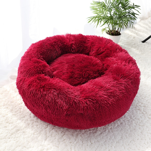 Cama Conforto Petz Nuvem Loja Utililar 
